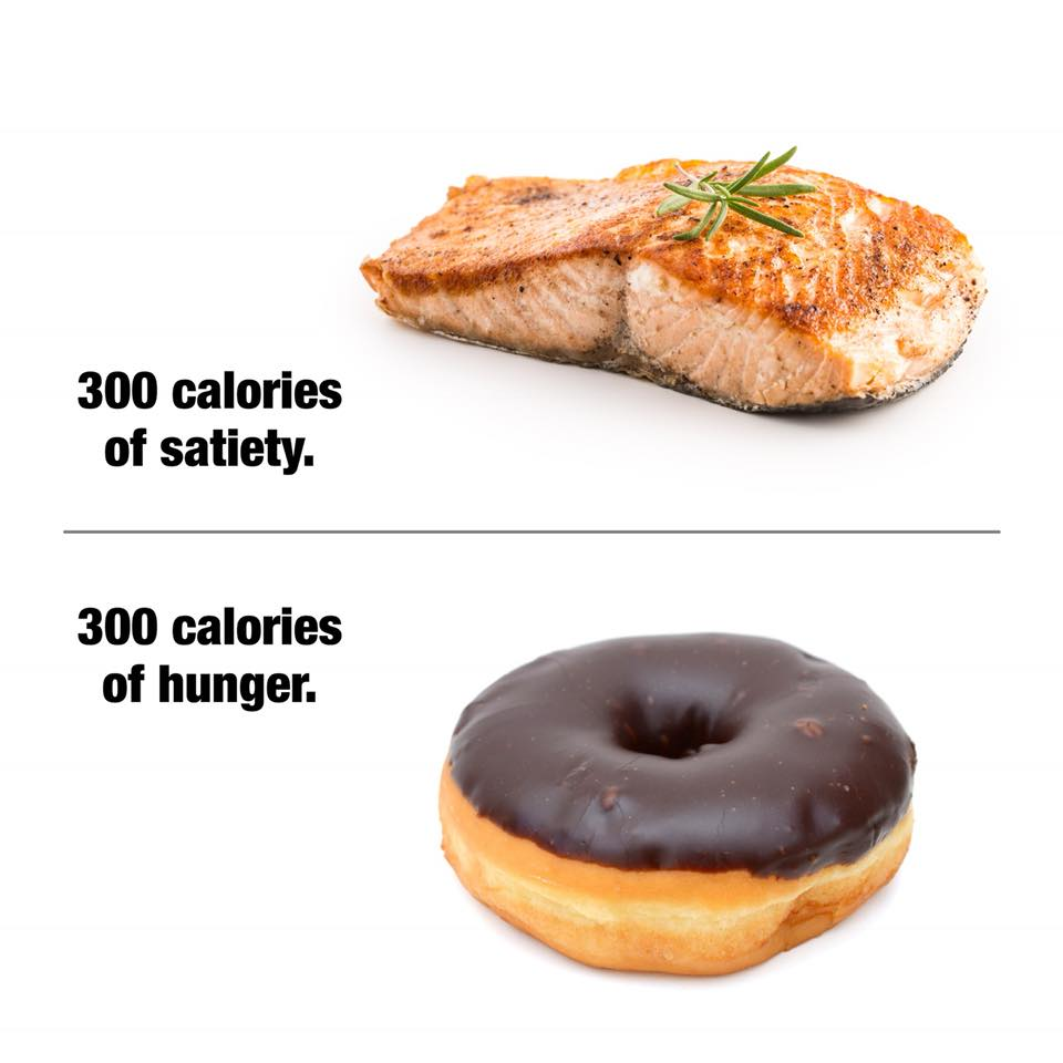 salmon-vs-donuts